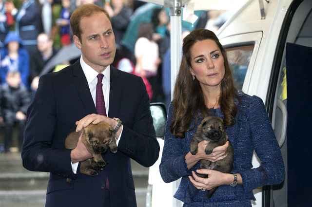 Duke and Duchess of Cambridge cuddle puppies on last day in New Zealand